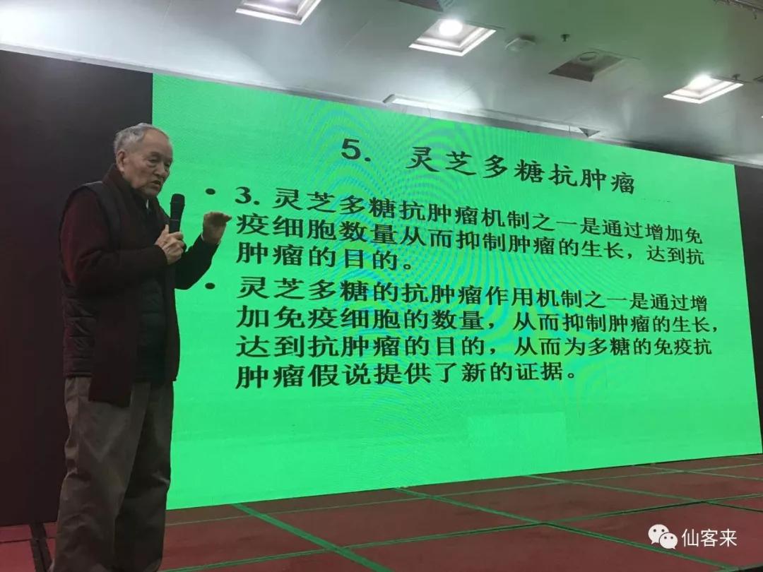 杭州亞運會官方靈芝產(chǎn)品供應商|杭州亞運會官方供應商|中國靈芝十大品牌|仙客來靈芝|仙客來靈芝破壁孢子粉|仙客來孢子油|仙客來靈芝飲片|仙客來破壁孢子粉|靈芝孢子油|孢子粉|靈芝破壁孢子粉|靈芝|中華老字號