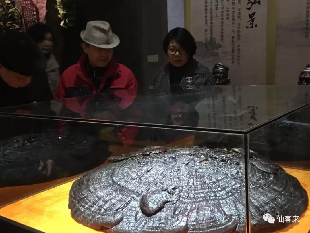 中國靈芝十大品牌|仙客來靈芝|仙客來靈芝破壁孢子粉|仙客來孢子油|仙客來靈芝飲片|仙客來破壁孢子粉|仙客來靈芝中藥飲片|馳名商標(biāo)|www.mirangroup.cn|