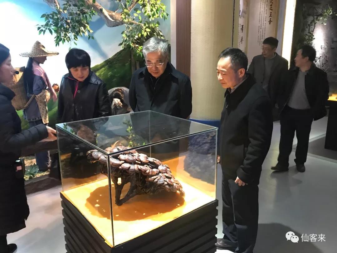 中國(guó)靈芝十大品牌|仙客來(lái)靈芝|仙客來(lái)靈芝破壁孢子粉|仙客來(lái)孢子油|仙客來(lái)靈芝飲片|仙客來(lái)破壁孢子粉|仙客來(lái)靈芝中藥飲片|馳名商標(biāo)|www.mirangroup.cn|