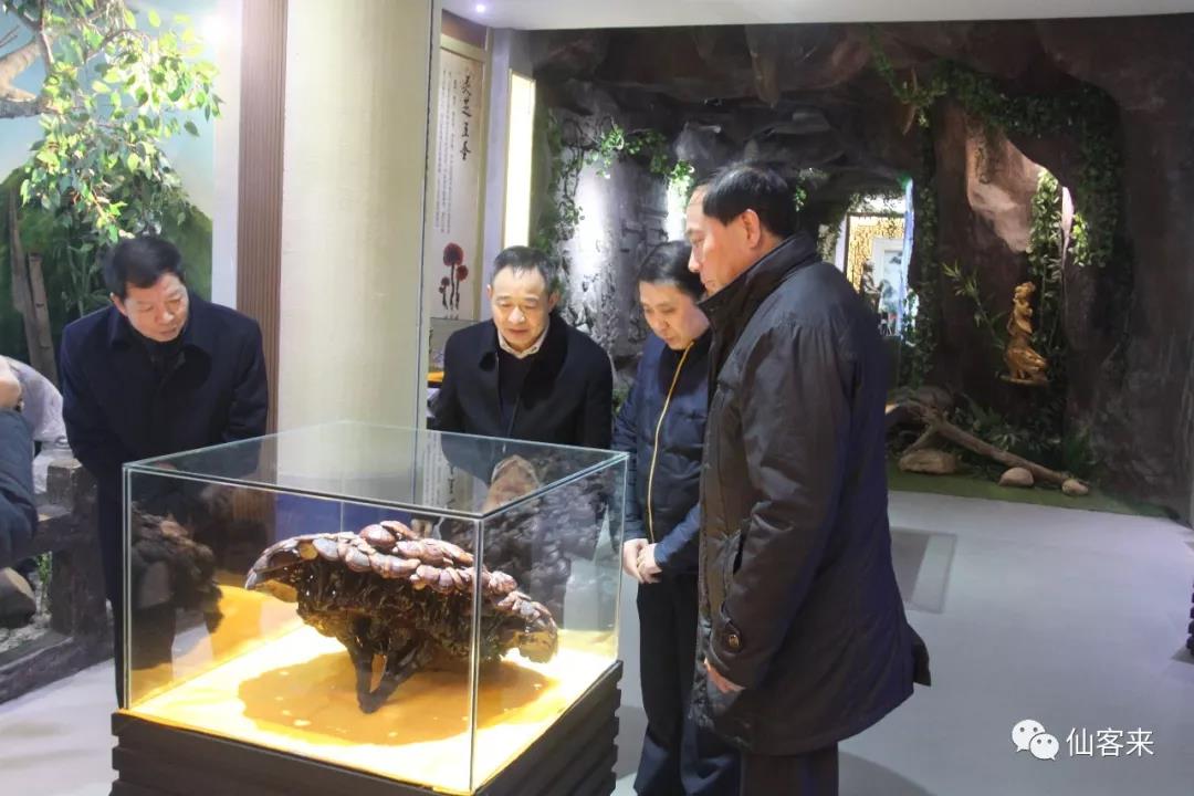 中國靈芝十大品牌|仙客來靈芝|仙客來靈芝破壁孢子粉|仙客來孢子油|仙客來靈芝飲片|仙客來破壁孢子粉|仙客來靈芝中藥飲片|馳名商標(biāo)|www.mirangroup.cn|