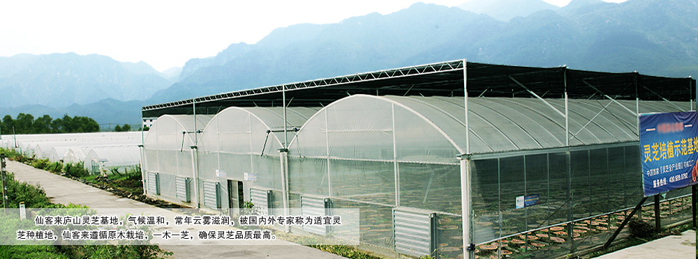 中國靈芝十大品牌|仙客來靈芝|仙客來靈芝破壁孢子粉|仙客來孢子油|仙客來靈芝飲片|仙客來破壁孢子粉|仙客來靈芝中藥飲片|馳名商標(biāo)|www.mirangroup.cn|