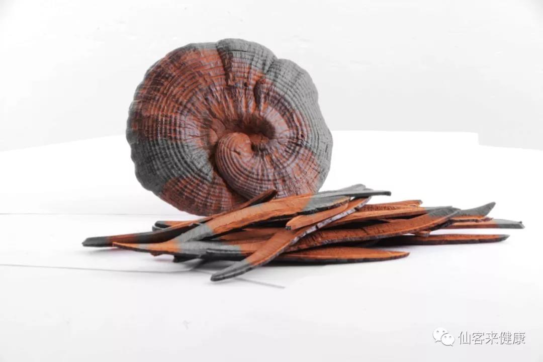 中國靈芝十大品牌|仙客來靈芝|仙客來靈芝破壁孢子粉|仙客來孢子油|仙客來靈芝飲片|仙客來破壁孢子粉|仙客來靈芝中藥飲片|馳名商標(biāo)|www.mirangroup.cn|