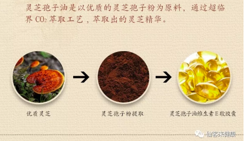 中國靈芝十大品牌|仙客來靈芝|仙客來靈芝破壁孢子粉|仙客來孢子油|仙客來靈芝飲片|仙客來破壁孢子粉|仙客來靈芝中藥飲片|馳名商標|www.mirangroup.cn|