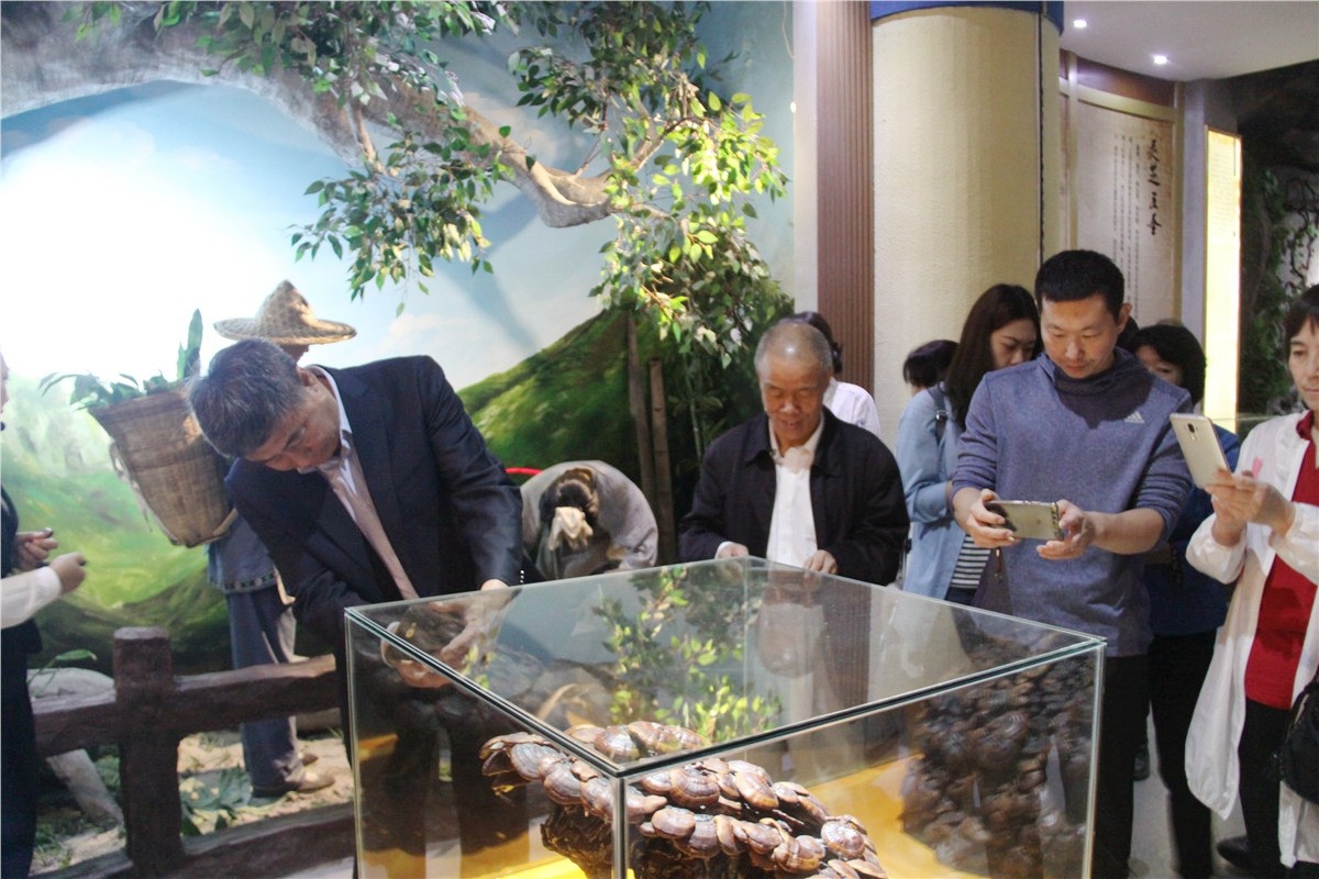 中國(guó)靈芝十大品牌|仙客來(lái)靈芝|仙客來(lái)靈芝破壁孢子粉|仙客來(lái)孢子油|仙客來(lái)靈芝飲片|仙客來(lái)破壁孢子粉|仙客來(lái)靈芝中藥飲片|馳名商標(biāo)|www.mirangroup.cn|