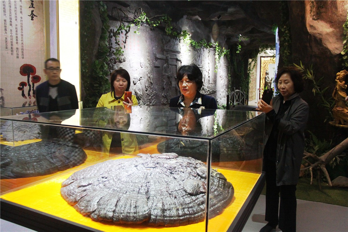 中國(guó)靈芝十大品牌|仙客來(lái)靈芝|仙客來(lái)靈芝破壁孢子粉|仙客來(lái)孢子油|仙客來(lái)靈芝飲片|仙客來(lái)破壁孢子粉|仙客來(lái)靈芝中藥飲片|馳名商標(biāo)|www.mirangroup.cn|