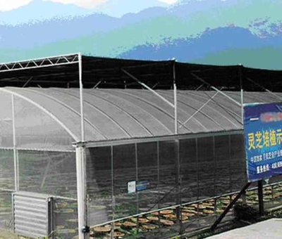 仙客來公司列入“A級(jí)納稅信用企業(yè)”