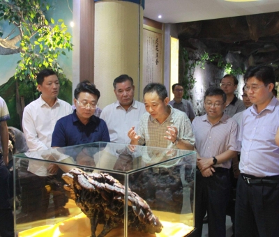 “降成本，優(yōu)環(huán)境”助企業(yè)騰飛——江西省政協(xié)副主席率團(tuán)調(diào)研仙客來！