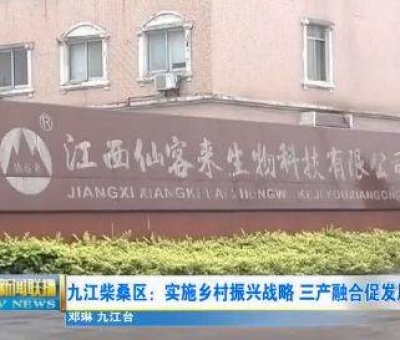 中國人只需要“別具”，缺失了“匠心”！