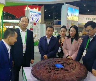 仙客來(lái)綠色有機(jī)靈芝在第十七屆中國(guó)國(guó)際農(nóng)產(chǎn)品交易會(huì)一展風(fēng)采