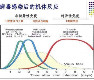 研究發(fā)現(xiàn)：新冠病毒攻擊人體免疫細胞 擊毀免疫系統(tǒng)
