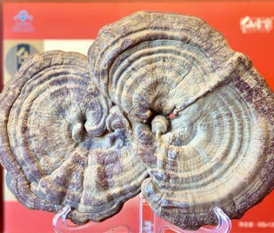 “它”是從古到今的健康佳肴  歷經(jīng)數(shù)千年不衰