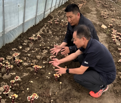 助力少數(shù)民族地區(qū)發(fā)展！潘新華應(yīng)邀前往西藏拉薩市和林芝市 共商產(chǎn)業(yè)發(fā)展良策